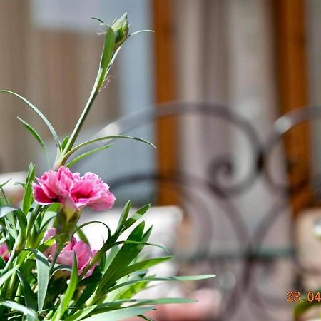 Princess Apartment Sandanski Exterior photo