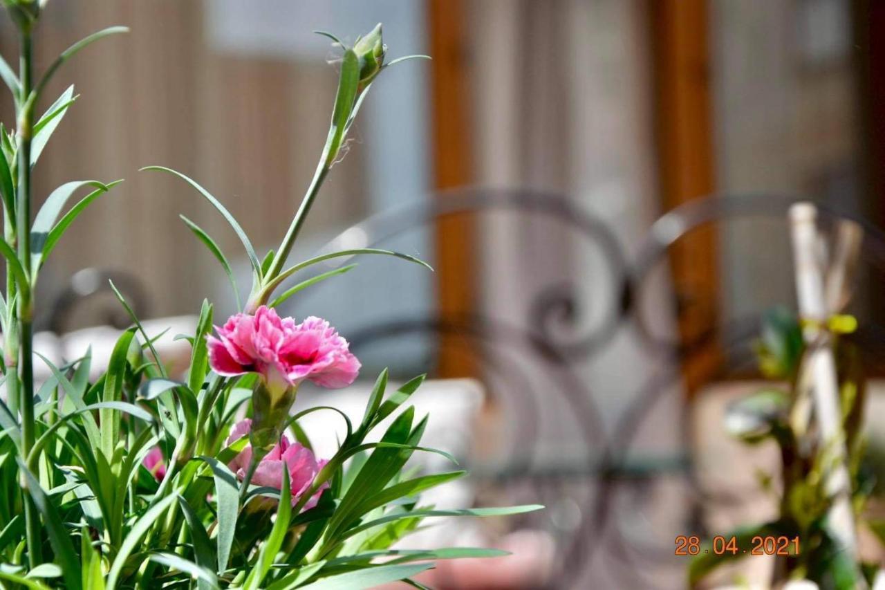 Princess Apartment Sandanski Exterior photo