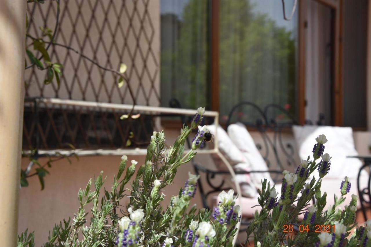 Princess Apartment Sandanski Exterior photo